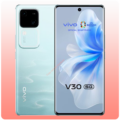 vivo V30